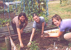 Sweating in the Sunshine - WWOOF New Zealand