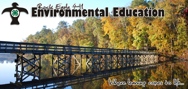 Rock Eagle 4-H Environmental Education Program: Where Learning Comes to Life!
