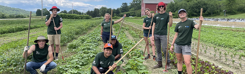 Work outside, make a difference, gain experience and get paid for it with the Vermont Youth Conservation Corps!