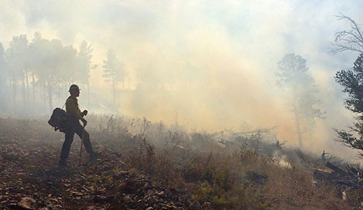 AmeriCorps Veterans Fire Corps