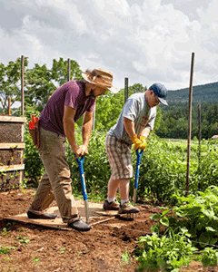 Camphill Communities provide a dynamic and nurturing environment for those interested in farming, gardening and sustainable agriculture.