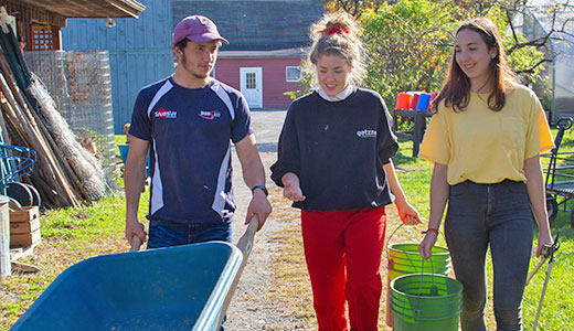 Work life may mean providing human support and caregiving, teaching a craft, working on the farm or garden, cooking wholesome food, engaging in the healing arts, or celebrating seasonal festivals together.