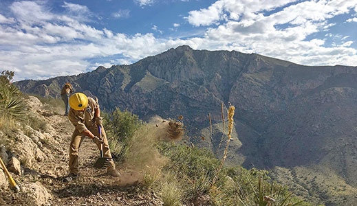 CCNM's Adult Field Crew program engages motivated young adults to complete challenging and impactful conservation service projects throughout southern New Mexico.