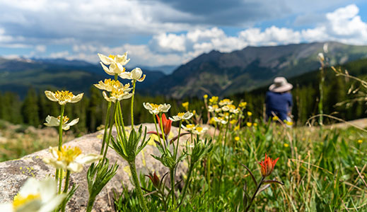 Each summer, the mountain transforms into a playground for hikers, mountain bikers, and anyone seeking a genuine Colorado experience.