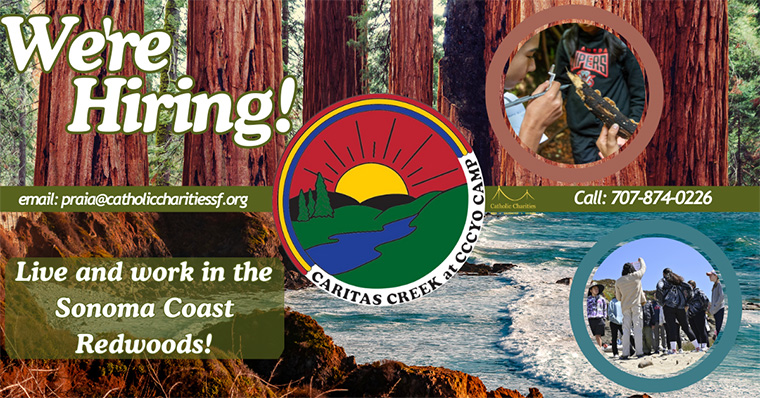 Live and work in the Sonoma Coast Redwoods with Caritas Creek changing lives!