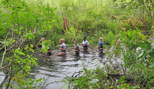 Water hikes will be part of your day!