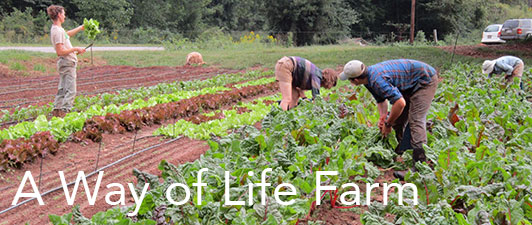 A Way of Life Farm: for healthy people, a healthy economy and healthy ecology.