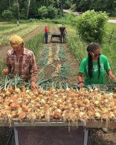 Learn the ins and outs of farming at A Way of Life Farm while growing healthy food that is also healthy for the land.