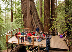 Alliance Redwood's location is ideally suited for those with a love of the outdoors.