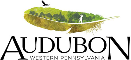 Audubon Society of Western Pennsylvania connects the people of southwestern Pennsylvania to birds and nature through our programs, projects, and places.