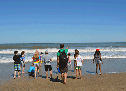 Make the beach and marsh your new classroom as an Environmental Educator with Burton 4-H Center on Tybee Island!
