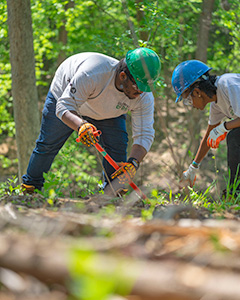 Conservation Corps will give youth and young adults practical and professional experience, train them for careers, and provide a stable income and an opportunity to pay for educational expenses.