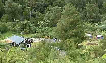 A WWOOF Eco-Village in New Zealand