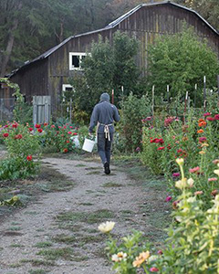 Emandal – A Farm on a River is a place that not only provides a learning environment, but a chance to do something constructive while pondering life's options.