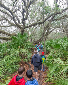 Environmental Educators will have the opportunity to teach maritime forest ecology, a study of the process of succession from the beach into the mature maritime forest.