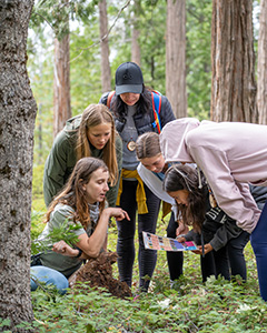 Through hands-on exploration and observation students will discover the connections between the non-living and living parts of an ecosystem.