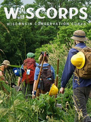 Grow beyond yourself—WisCorps is seeking individuals of all talents and abilities!