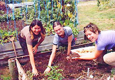 Sweating in the Sunshine: WWOOF New Zealand