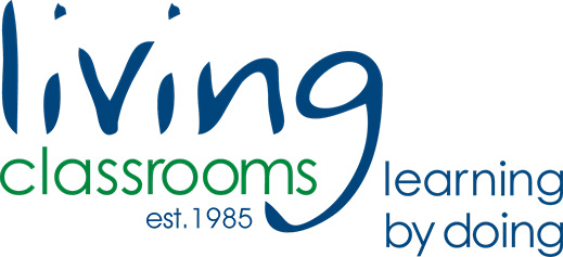 Living Classrooms Maritime Education offers hands-on programs in maritime environments, focusing on the practical study of subjects like math, science, language arts, history, economics, and ecology.