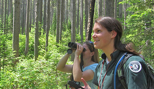 MCC’s Individual Placement Programs place AmeriCorps members elbow to elbow with natural resource professionals in the field.