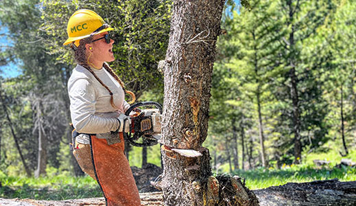 Fuels & Fire Crews work on forest fuels mitigation projects with an emphasis on heavy chainsaw use.