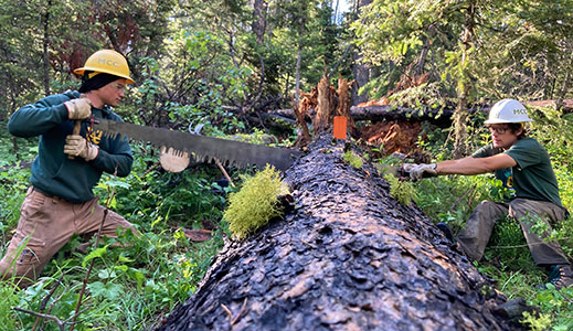 MCC Northern Rockies Forestry crews offer opportunities to gain considerable field experience in a variety of activities.