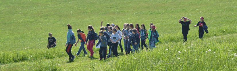 Connect kids to the environment as an Instructor with Ohio FFA Camp Muskingum.