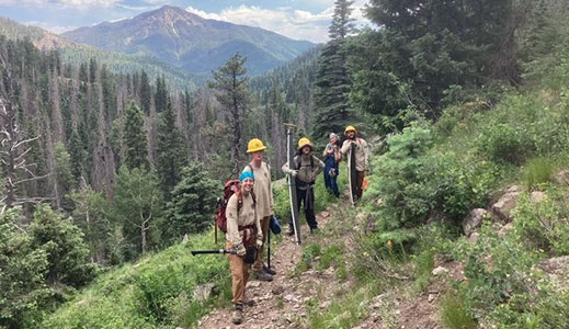 Adult Conservation Camping Crews