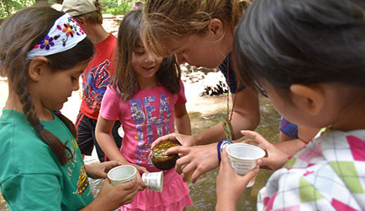 Teaching a summer camp stream study course.