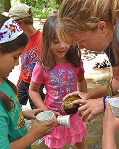 Shaver's Creek Environmental Education Interns become an integral part of the staff and participate in all aspects of the center's operation.