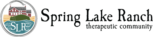 Spring Lake Ranch: a small therapeutic work community in the Green Mountains of Vermont