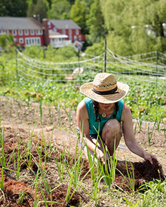 Program Coordinators work actively with residents on crew, leading or participating in a wide variety of tasks that keep the Ranch running through every season of the year.